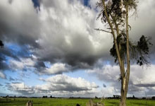 科创板开户准入的条件股票:股票开户需要多少钱-全球十大黄金生产商来了!有中国公司上榜