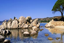 配资资金:免费股票选股软件app下载-一则传闻 直线封板!浙江荣泰回应:无法确认准确性